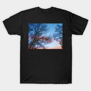 Photo of Leafless Branches Against Morning Sky T-Shirt